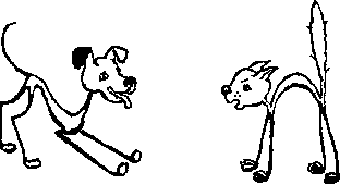 Dog and Cat