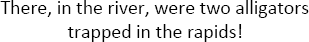 There in the river were two alligators trapped in the rapids